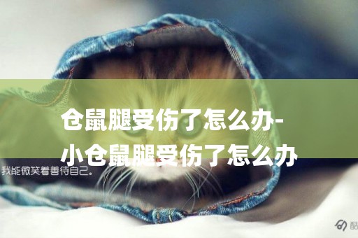 倉鼠腿受傷了怎么辦-
小倉鼠腿受傷了怎么辦