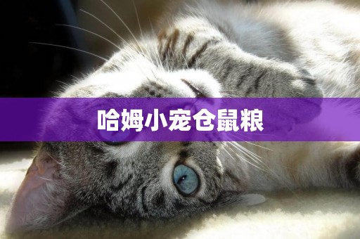 哈姆小寵倉鼠糧