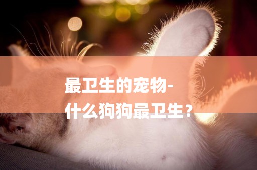 最衛生的寵物-
什么狗狗最衛生？