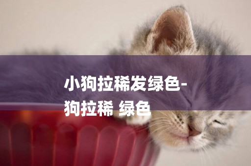 小狗拉稀發綠色-
狗拉稀 綠色