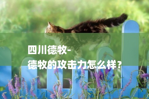 四川德牧-
德牧的攻擊力怎么樣？