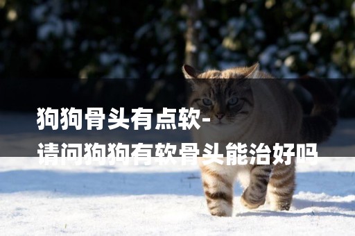 狗狗骨頭有點軟-
請問狗狗有軟骨頭能治好嗎