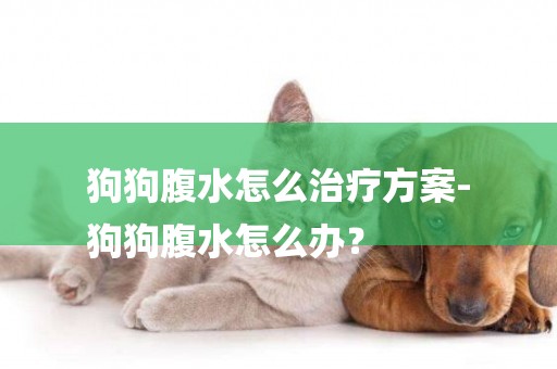 狗狗腹水怎么治療方案-
狗狗腹水怎么辦？