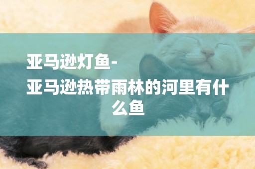 亞馬遜燈魚-
亞馬遜熱帶雨林的河里有什么魚
