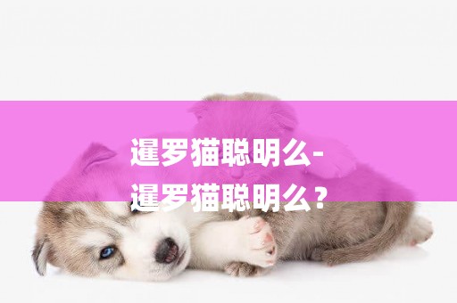 暹羅貓聰明么-
暹羅貓聰明么？