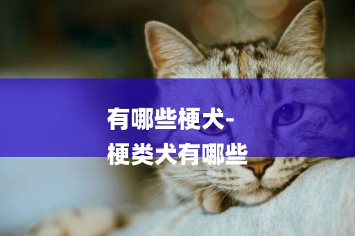 有哪些梗犬-
梗類犬有哪些
