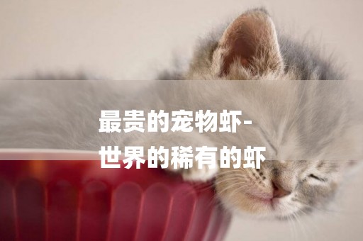 最貴的寵物蝦-
世界的稀有的蝦