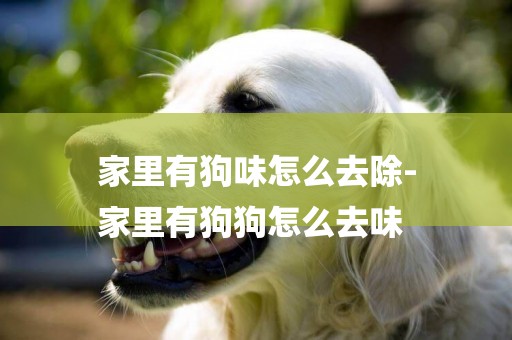家里有狗味怎么去除-
家里有狗狗怎么去味