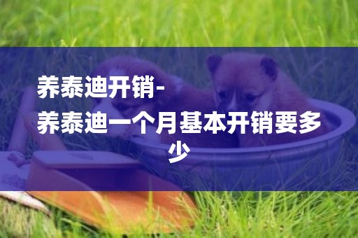 養泰迪開銷-
養泰迪一個月基本開銷要多少