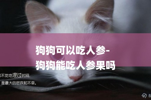 狗狗可以吃人參-
狗狗能吃人參果嗎