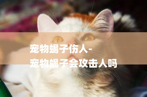 寵物蝎子傷人-
寵物蝎子會攻擊人嗎