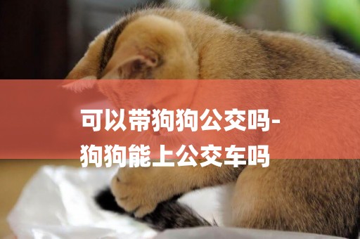 可以帶狗狗公交嗎-
狗狗能上公交車嗎