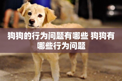 狗狗的行為問題有哪些 狗狗有哪些行為問題