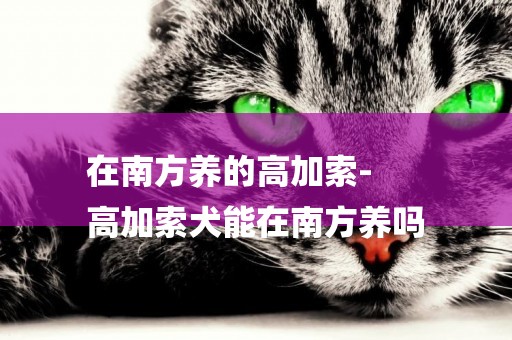 在南方養的高加索-
高加索犬能在南方養嗎