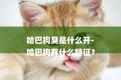 哈巴狗臭是什么開-
哈巴狗有什么特征？
