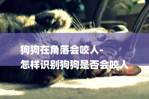 狗狗在角落會咬人-
怎樣識別狗狗是否會咬人
