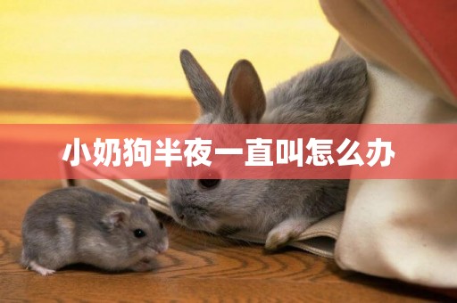 小奶狗半夜一直叫怎么辦