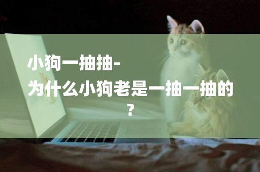 小狗一抽抽-
為什么小狗老是一抽一抽的?