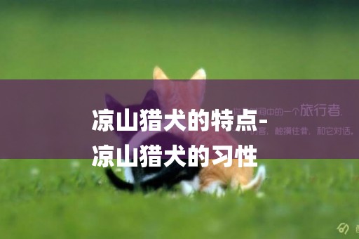涼山獵犬的特點-
涼山獵犬的習性