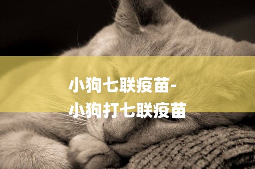 小狗七聯疫苗-
小狗打七聯疫苗