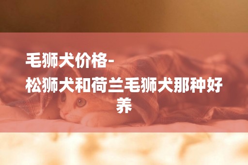 毛獅犬價格-
松獅犬和荷蘭毛獅犬那種好養