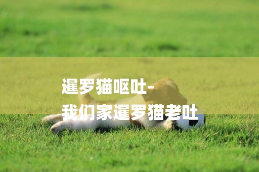 暹羅貓嘔吐-
我們家暹羅貓老吐