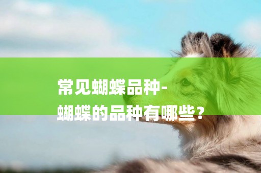 常見蝴蝶品種-
蝴蝶的品種有哪些？