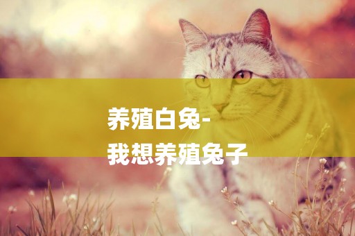 養殖白兔-
我想養殖兔子