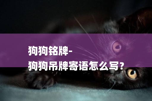 狗狗銘牌-
狗狗吊牌寄語怎么寫？