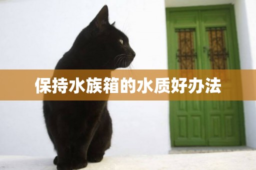保持水族箱的水質好辦法