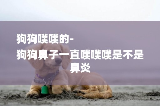 狗狗噗噗的-
狗狗鼻子一直噗噗噗是不是鼻炎
