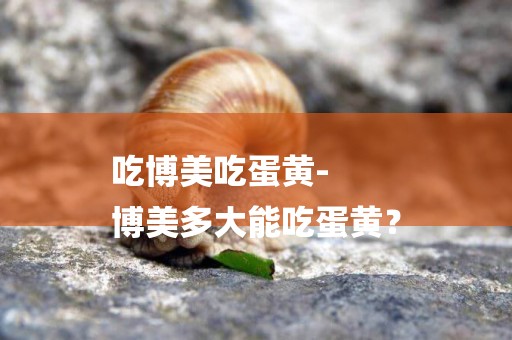 吃博美吃蛋黃-
博美多大能吃蛋黃？