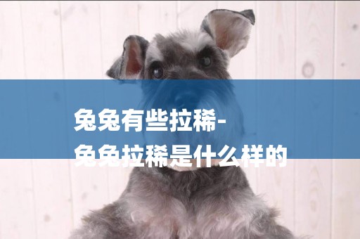 兔兔有些拉稀-
兔兔拉稀是什么樣的