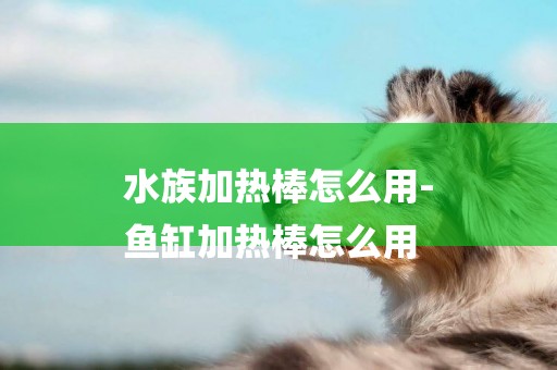 水族加熱棒怎么用-
魚缸加熱棒怎么用