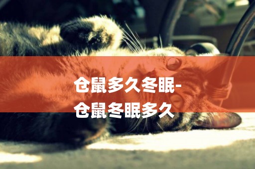 倉鼠多久冬眠-
倉鼠冬眠多久