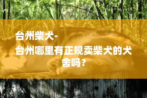 臺州柴犬-
臺州哪里有正規賣柴犬的犬舍嗎？