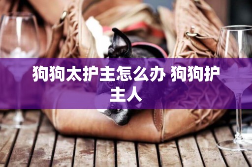 狗狗太護主怎么辦 狗狗護主人