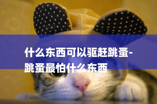 什么東西可以驅趕跳蚤-
跳蚤最怕什么東西