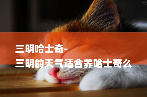 三明哈士奇-
三明的天氣適合養哈士奇么