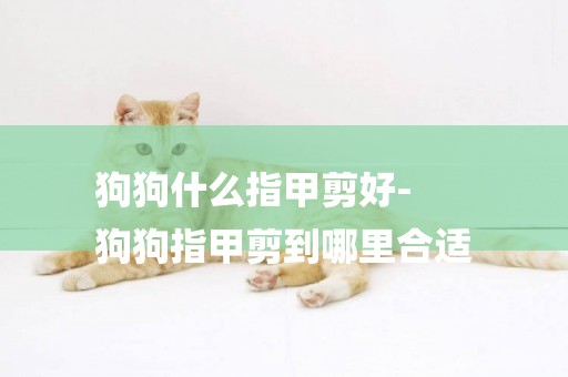 狗狗什么指甲剪好-
狗狗指甲剪到哪里合適