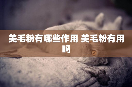 美毛粉有哪些作用 美毛粉有用嗎