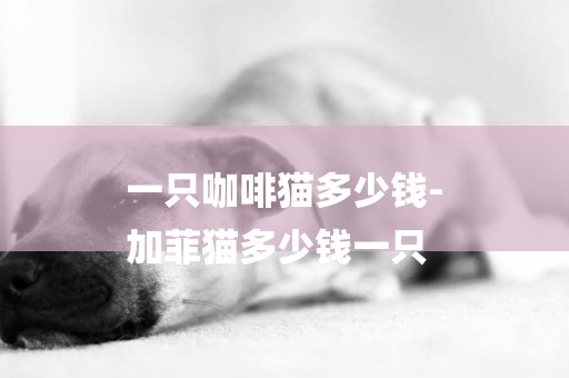 一只咖啡貓多少錢-
加菲貓多少錢一只