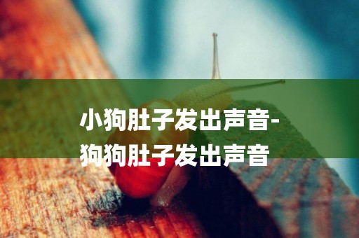 小狗肚子發出聲音-
狗狗肚子發出聲音