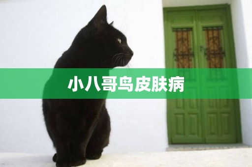 小八哥鳥皮膚病