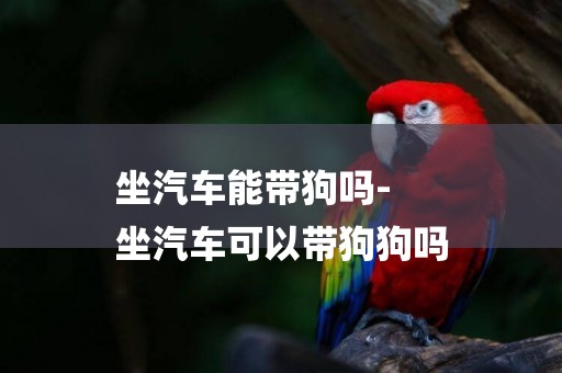 坐汽車能帶狗嗎-
坐汽車可以帶狗狗嗎