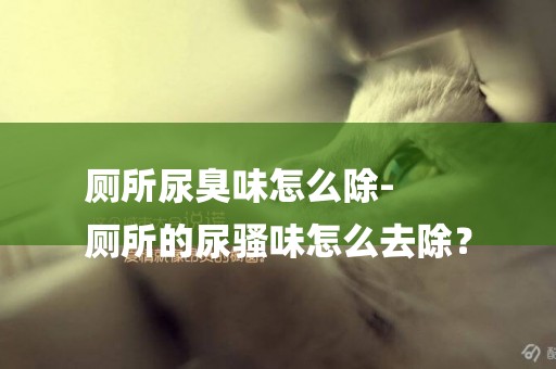 廁所尿臭味怎么除-
廁所的尿騷味怎么去除？