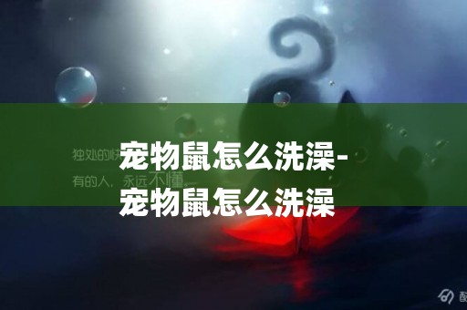 寵物鼠怎么洗澡-
寵物鼠怎么洗澡