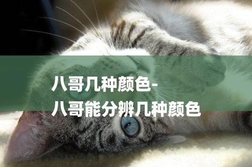 八哥幾種顏色-
八哥能分辨幾種顏色