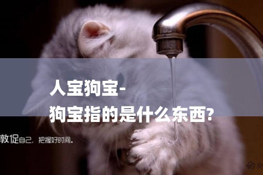 人寶狗寶-
狗寶指的是什么東西?