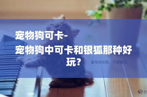 寵物狗可卡-
寵物狗中可卡和銀狐那種好玩？